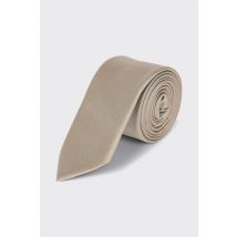 Burton Men Champagne Slim Tie