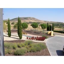 Wonderbox Una jornada de vino y tradición para 4 en Bodegas Viyuela, Burgos Cofre y Caja Regalo GASTRONOMY - Ideas de regalos originales La familia 