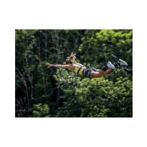 Wonderbox Saut à l'élastique depuis le Viaduc d'Alzon (30) - Idée cadeau Découvrez les joies du saut à l'élastique depuis le Viaduc d'Alzon pour 