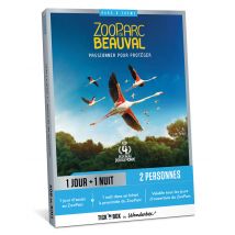 Ticketbox - Idée Cadeau - ZooParc de Beauval - Séjour 1 Jour / 1 Nuit - Pour 2 personnes - Loisirs & sorties