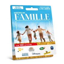 Carte Cadeau Multi Enseignes - Carte Billetterie - Sortie en Famille - De 10€ à 150€ - Valable dans + de 300 enseignes