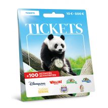 Wonderbox Ticketkaart - Cadeaukaart - Tickets voor een pretpark, een sightseeingtour of een voetbalwedstrijd
