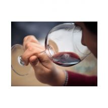 Wonderbox Dégustation prestige Grands Crus de Bordeaux à Paris 9ème - Offre Duo - Idée cadeau Dégustez les meilleurs vins de Bordeaux lors d’une 