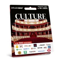 Carte Cadeau Multi Enseignes - Carte Culture - De 10€ à 150€ - Valable dans + de 300 enseignes
