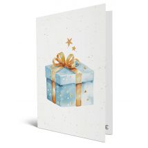 Carte Cadeau Multi Enseignes - Carte de vœux 2 en 1 Générique - De 10€ à 150€ - Valable dans + de 300 enseignes