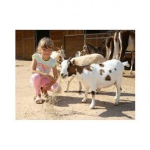 Wonderbox Billet pour le Parc Saint Léger Parc Animalier (60) - Idée cadeau Le Parc animalier Saint Léger vous invite à une véritable immersion par 