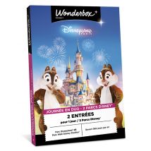 Wonderbox Disneyland Paris - Journée en duo 2 Parcs Disney - Idée cadeau 2 entrées pour 1 jour pour 2 parcs Disney Parc Disneyland et Parc Walt Disney