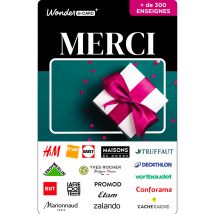 Carte Cadeau Multi Enseignes - Carte Merci - De 10€ à 150€ - Valable dans + de 300 enseignes