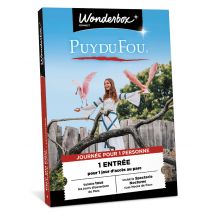 Wonderbox Puy du Fou - 1 Jour pour 1 Adulte - Idée cadeau 1 entrée adulte pour 1 jour d'accès au parc Inclut le spectacle Nocturne "les Noces de Feu" 