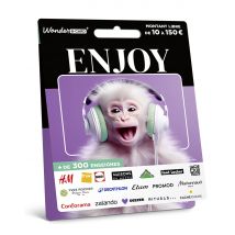 Carte Cadeau Multi Enseignes - Carte Enjoy - De 10€ à 150€ - Valable dans + de 300 enseignes
