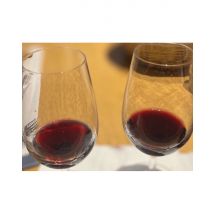 Wonderbox Initiation à la dégustation de vin à Lille (59) - Idée cadeau Rendez-vous à La Cave Léon Gambetta pour un atelier dégustation de vin qui 