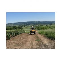 Wonderbox Randonnée Quad à Couches dans les vignobles - Randonnée - 1h30 - Idée cadeau Amateurs.trices de beaux paysages, mais surtout de vignobles, 
