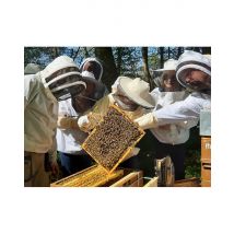 Wonderbox Demi-journée initiation à l'apiculture à Chaume-en-Brie (77) - Idée cadeau Vivez une immersion fascinante dans l’univers des abeilles avec 