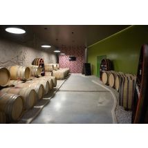 Wonderbox Visita guidata in cantina con degustazione enogastronomica e omaggio in provincia di Fermo - Cofanetti regalo