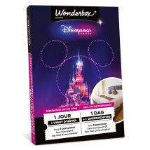 Wonderbox Disneyland Paris - 1 dag/1 park/1 nacht - Geschenkideeën toegangstickets voor 1 dag in 1 park van disneyland paris + 1 overnachting in een 