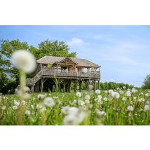 Wonderbox Un séjour en cabane avec spa et repas en Mayenne - Idée cadeau Offrez-vous une escapade aussi romantique qu’insolite au Domaine Le 
