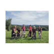 Wonderbox Cani-rando près de Sancy (63) - Idée cadeau Partagez un moment complice avec un chien de traîneau lors d’une cani-rando encadrée par des 