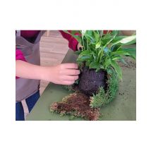 Wonderbox Atelier Kokedama à Nantes (44) - Idée cadeau Pendant 2h, initiez-vous à l’art du kokedama aux côtés d’Annabelle et créez votre propre jardin