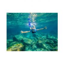 Wonderbox Excursion Snorkeling au large de Nice (06) - Idée cadeau Partez pour une randonnée palmée au large de Nice et découvrez la richesse des 