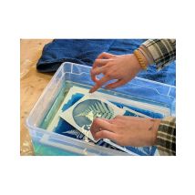 Wonderbox Atelier d'initiation au cyanotype à Lyon 6ème - Idée cadeau Aux côtés de Sabrina, artiste expérimentée, initiez-vous au cyanotype lors d’un 