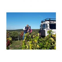 Wonderbox Dégustation de Champagne millésimé & balade panoramique (51) - Idée cadeau Vivez une expérience privée inoubliable au cœur du vignoble 