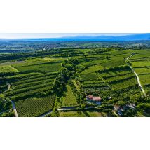 Wonderbox Visita guidata al vigneto (1h) e degustazione enogastronomica tra le colline moreniche - Cofanetti regalo