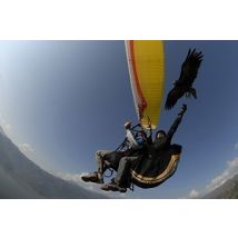 Wonderbox Vuelo en parapente biplaza para 2 (Alicante) - Cofre y Caja Regalo - Ideas de regalos originales 2 personas