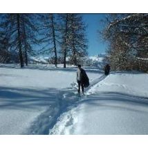 Wonderbox Balade en raquettes - 1 heure de Gap - Idée cadeau Dans le Parc national du Mercantour, profitez d'une nature et d'un patrimoine 