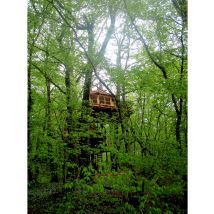 Wonderbox Séjour en cabane proche de Besançon - Idée cadeau Deux nuits en cabane dans les arbres, Deux petits déjeuners "Continental"