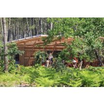 Wonderbox Séjour en cabane au nord de Mont-de-Marsan - Idée cadeau Une nuit en cabane perchée, Un petit déjeuner