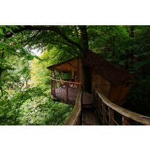 Wonderbox Séjour en cabane au nord de Lorient - Idée cadeau Une nuit en cabane dans les arbres "Stanken" ou "Ti Milin", Un accès à la piscine 