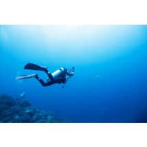 Wonderbox Plan acuático para familia: Snorkel en Marinadiving Tarragona Cofre y Caja Regalo ADVENTURE - Ideas de regalos originales Marinadiving 