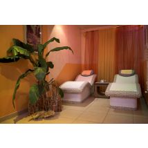 Wonderbox accès spa en duo proche de Roubaix - Idée cadeau Un accès au spa comprenant : sauna, hammam, sièges chauffants ergonomiques, bain 