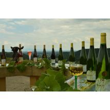 Wonderbox Dégustation de vins - Nicollet Gérard et Fils au Sud de Colmar - Idée cadeau Visite de la cave, Dégustation prestigieuse avec Grand Cru et 