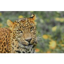 Wonderbox Zoo de Maubeuge - Idée cadeau