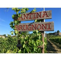 Wonderbox Degustazione di due calici di vino e prodotti tipici umbri alla Cantina Brugnoni a Perugia - Cofanetti regalo Cantina Brugnoni è costituita 