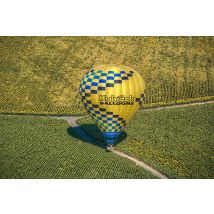 Wonderbox Un paseo en globo (50/80 minutos) + Desayuno posterior al vuelo, tipo andaluz + Sombrero + Diploma + Brindis con cava + Agua para 1 adulto +