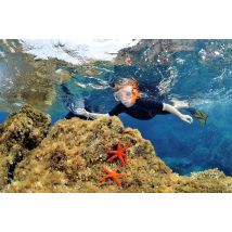 Wonderbox Formation de plongée à Calvi (20) - Idée cadeau Plongez à la découverte des richesses et joyaux sous-marins avec Subdive ! Au départ du 