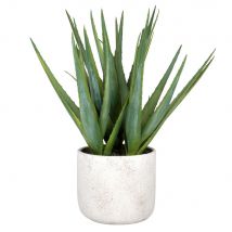 Aloe vera artificiale con vaso - Modello Esotico - Verde - - Pvc e sintetico - Maisons du Monde