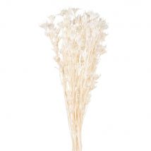 Blumenstrauß mit weißen Trockenblumen Stil landhaus Maisons du Monde
