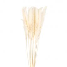 Bouquet of dried feathers White Natural Fibers - Maisons Du Monde