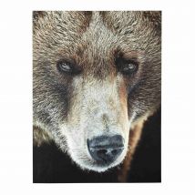 NUKA bear canvas 90 x 120cm contemporary style - Brown - Maisons Du Monde