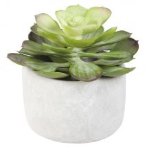 Pianta artificiale con vaso in cemento - Modello Contemporaneo - Verde - - Pvc e sintetico - Maisons du Monde