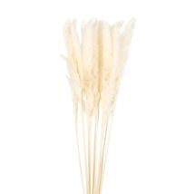 Ramo De Penas Secas Branco Fibras Naturais - Maisons Du Monde
