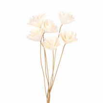 Rose bianche in carta modello esotico - Beige - Maisons Du Monde