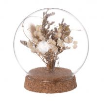 Sfera luminosa in vetro, fiori secchi su supporto in sughero - Modello Contemporaneo - Trasparente - Maisons du Monde