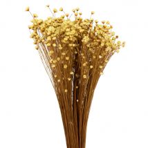 Strauß aus gelben Trockenblumen Stil landhaus Maisons du Monde