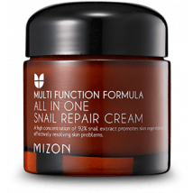 Mizon All in One Snail Repair Cream 75ml