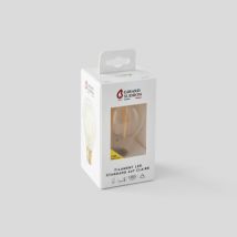 Girard sudron ampoule standard a70 led b22 8w