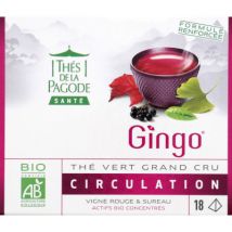 Thés de la pagode santé thé vert gingo circulation 36g Biologique